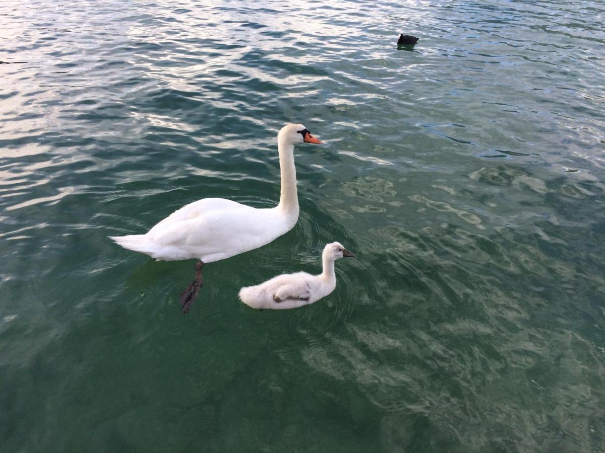 Lac Annecy Plage Privee, Duplex Baie Des Voiles デュアン エクステリア 写真